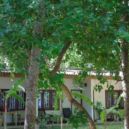 Talalla Coconut Hotel エクステリア 写真