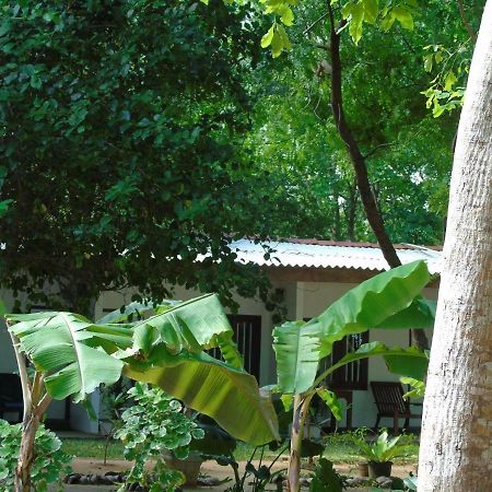 Talalla Coconut Hotel エクステリア 写真