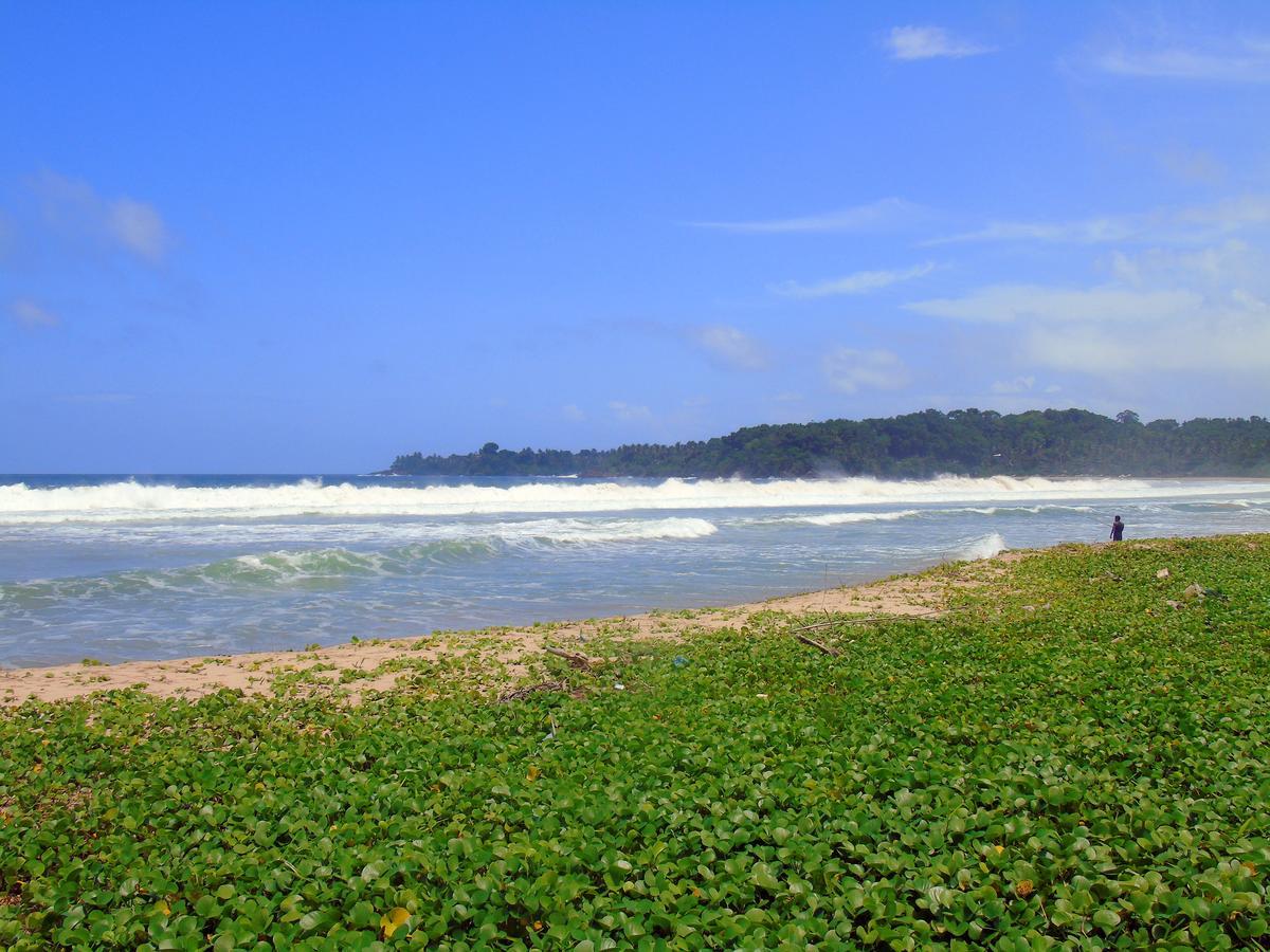 Talalla Coconut Hotel エクステリア 写真
