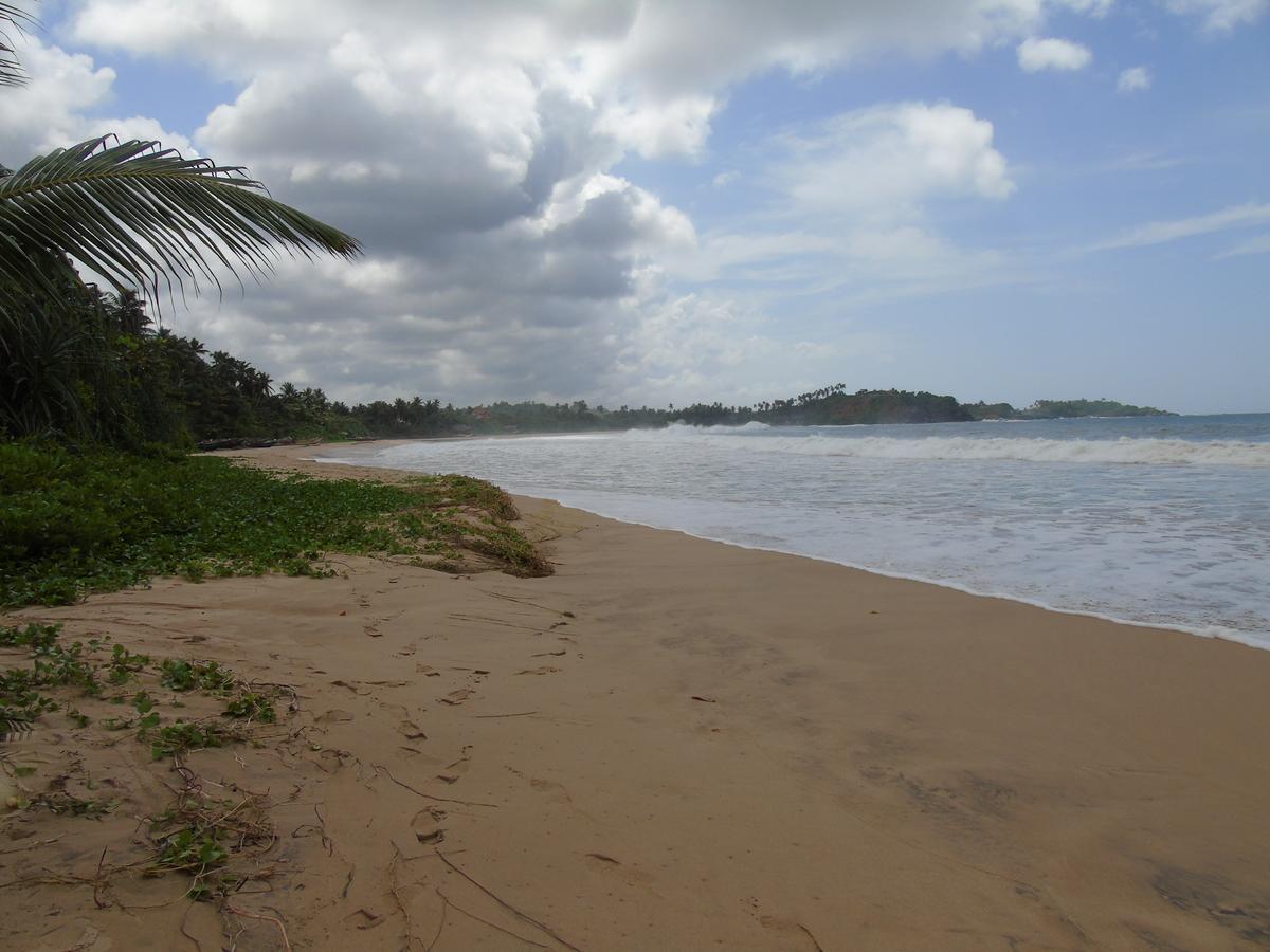 Talalla Coconut Hotel エクステリア 写真