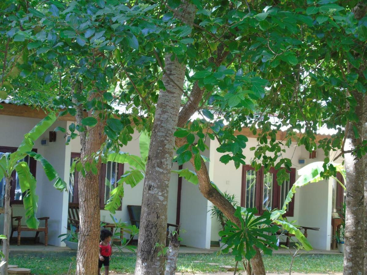 Talalla Coconut Hotel エクステリア 写真