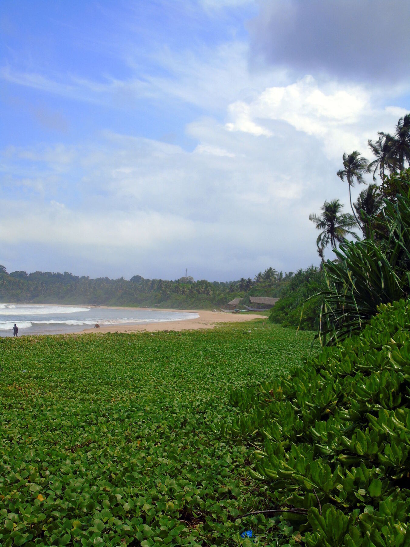 Talalla Coconut Hotel エクステリア 写真
